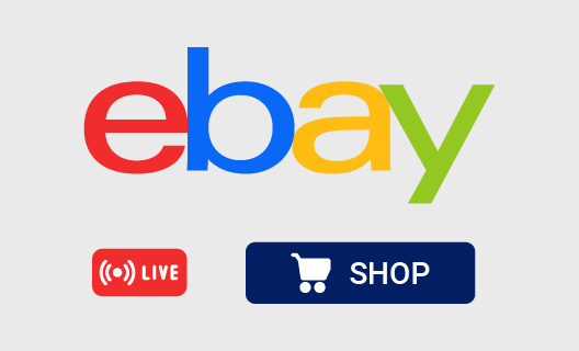 Negozio Ebay